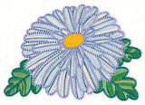 Delicate Garden Daisy