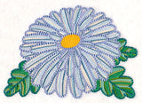 Delicate Garden Daisy