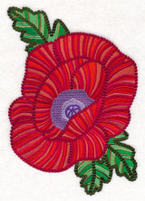 Delicate Garden Poppy