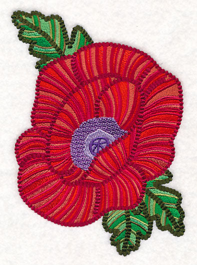 Delicate Garden Poppy