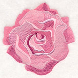 Heart of Roses Single