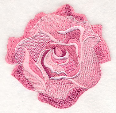 Heart of Roses Single