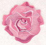 Heart of Roses Single