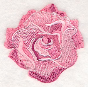 Heart of Roses Single