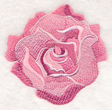 Heart of Roses Single