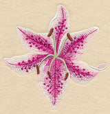 Heart of Lilies Single