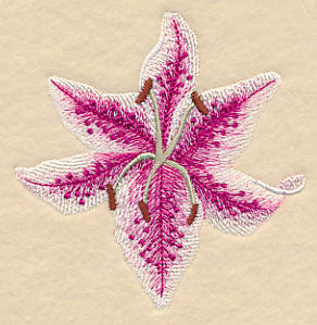 Heart of Lilies Single