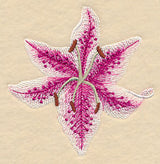 Heart of Lilies Single