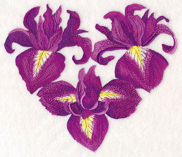 Heart of Irises
