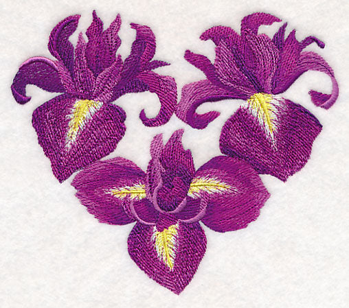 Heart of Irises