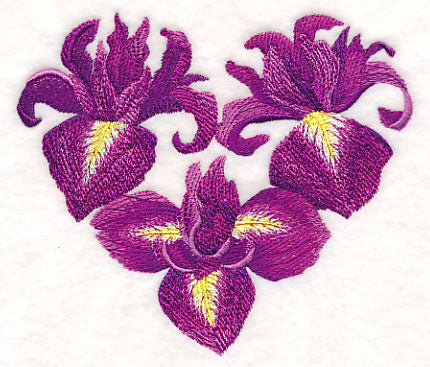 Heart of Irises
