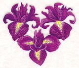 Heart of Irises
