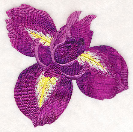 Heart of Irises Single