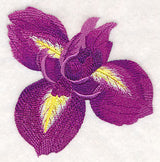 Heart of Irises Single