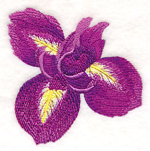 Heart of Irises Single