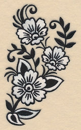 Black and White Wonders Spray