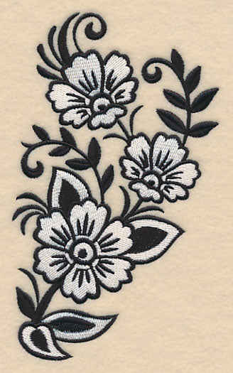 Black and White Wonders Spray