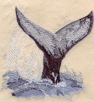 Whale Tail