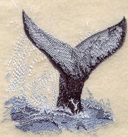 Whale Tail