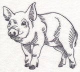 Farm Animal Sketch - Pig