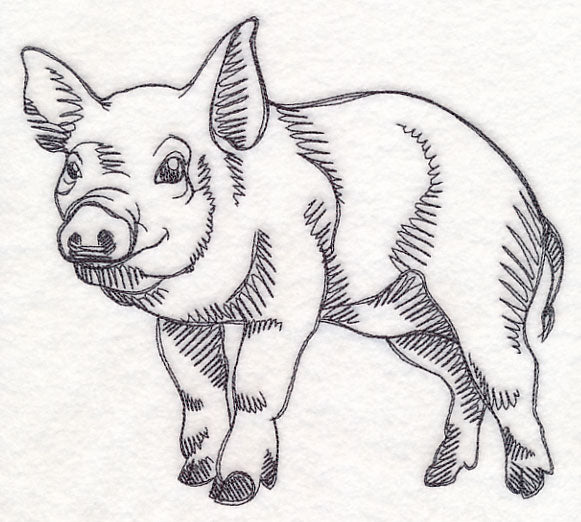 Farm Animal Sketch - Pig