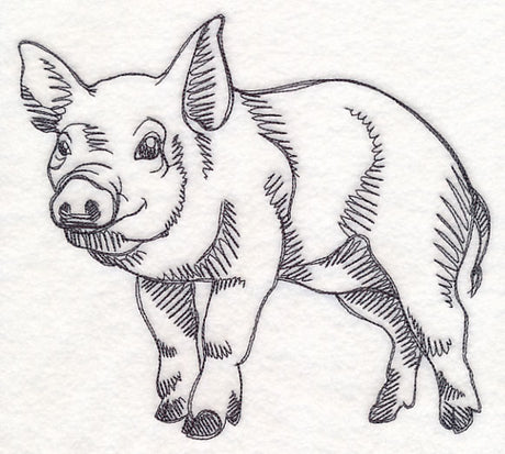Farm Animal Sketch - Pig