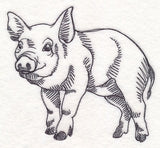 Farm Animal Sketch - Pig
