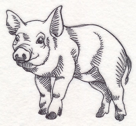 Farm Animal Sketch - Pig