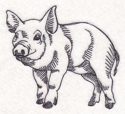Farm Animal Sketch - Pig