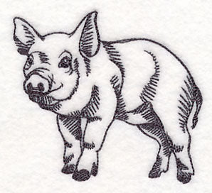 Farm Animal Sketch - Pig
