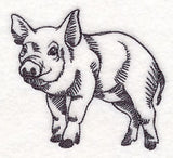 Farm Animal Sketch - Pig
