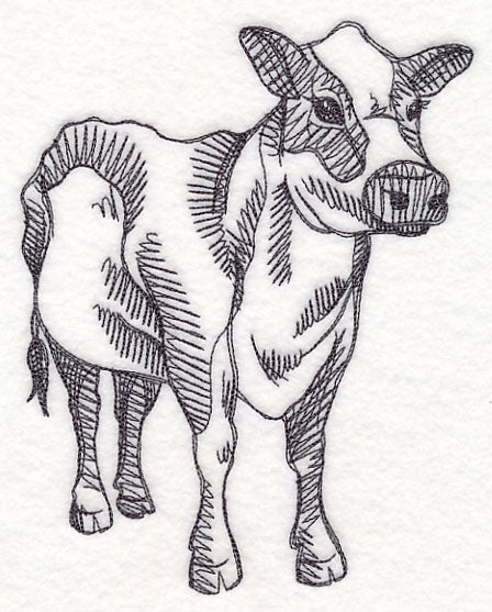 Farm Animal Sketch - Cow