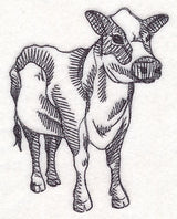 Farm Animal Sketch - Cow