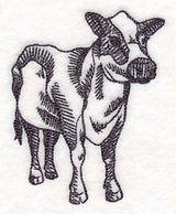 Farm Animal Sketch - Cow