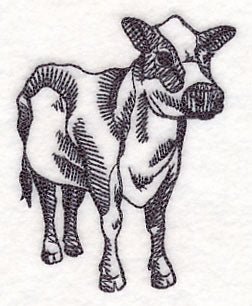 Farm Animal Sketch - Cow