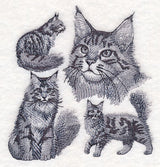 Maine Coon Cat Sketch