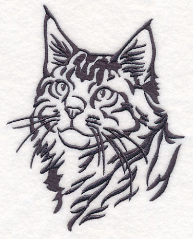 Maine Coon Cat Silhouette