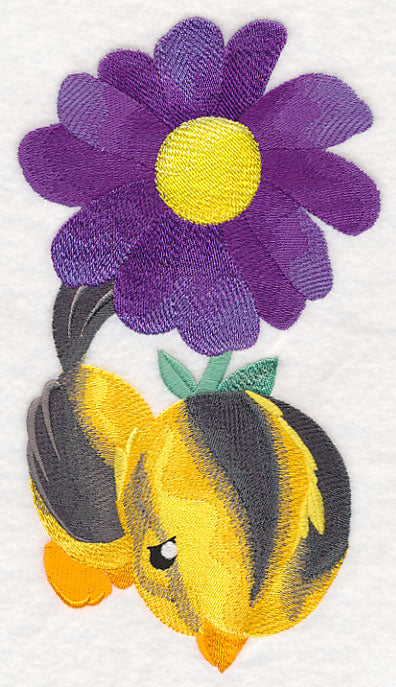 Tweety Sweetie - Oriole