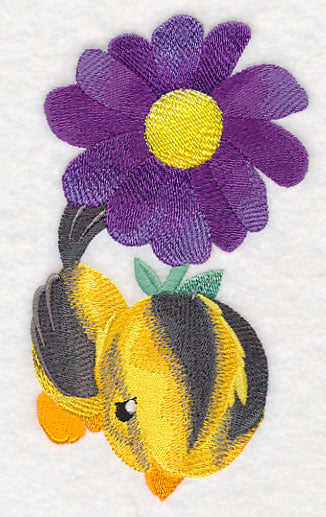 Tweety Sweetie - Oriole