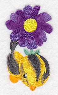 Tweety Sweetie - Oriole