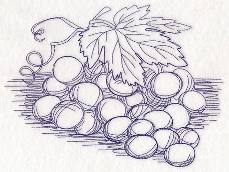 Grapes Etching