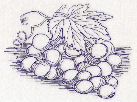 Grapes Etching