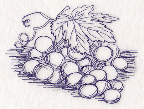 Grapes Etching