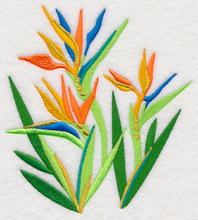 Some Like It Hot - Bird of Paradise