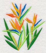 Some Like It Hot - Bird of Paradise