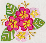 Some Like It Hot - Frangipani