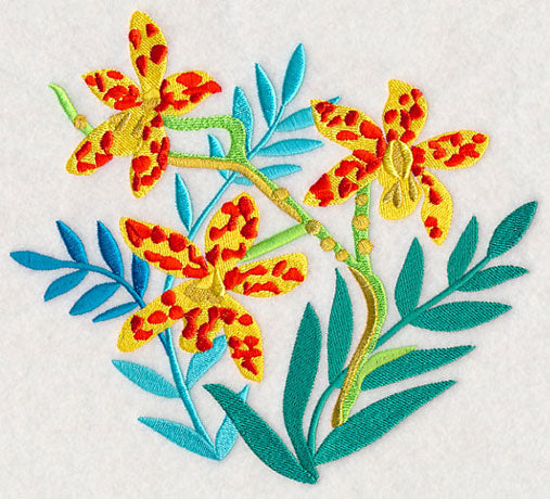 Some Like It Hot - Leopard Orchid