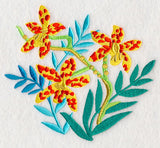 Some Like It Hot - Leopard Orchid