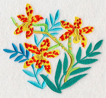 Some Like It Hot - Leopard Orchid