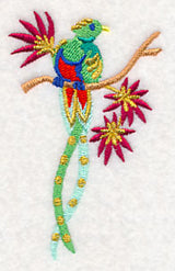 Some Like It Hot - Quetzal